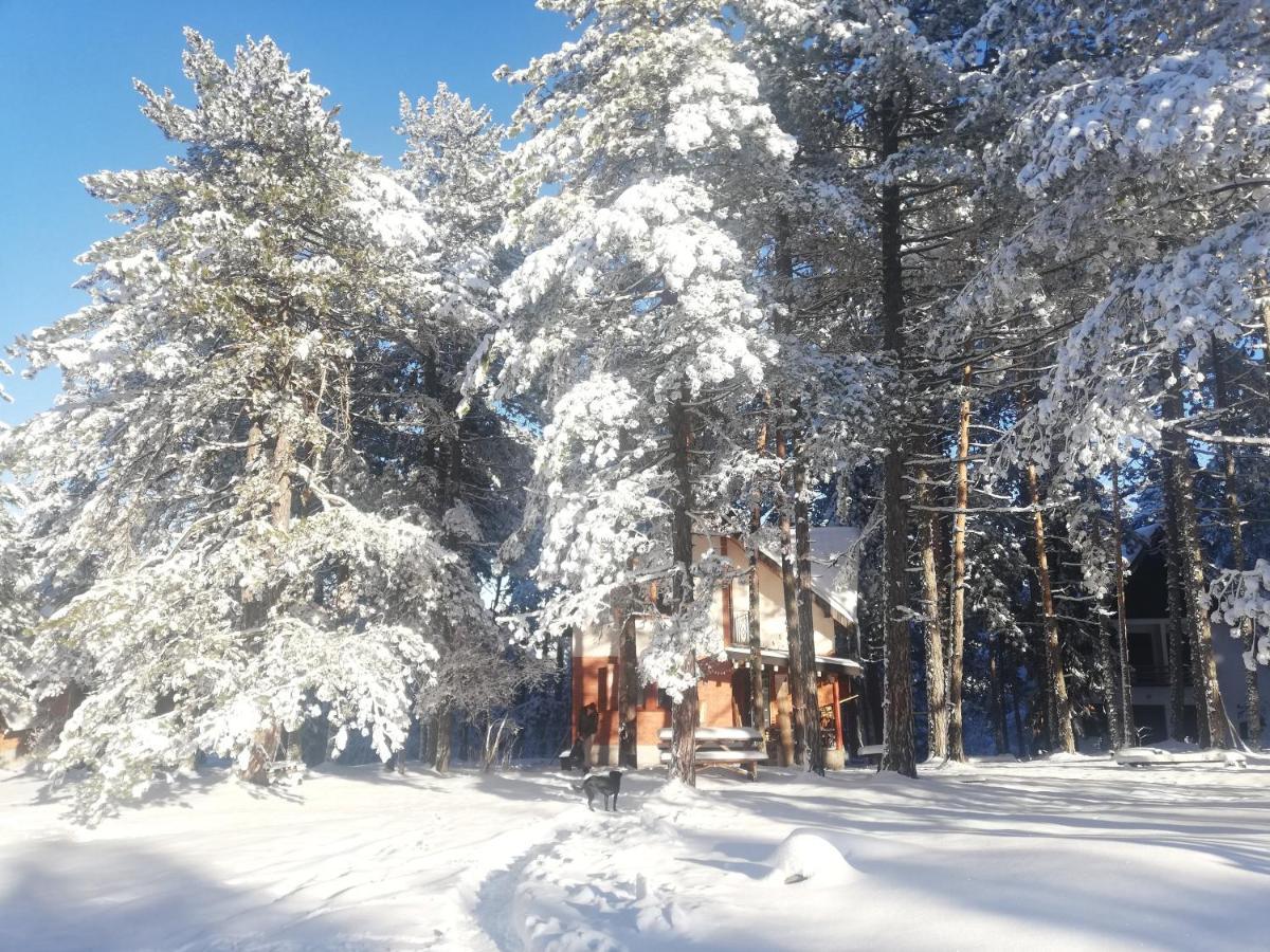 Rustic Home Tara بير المظهر الخارجي الصورة
