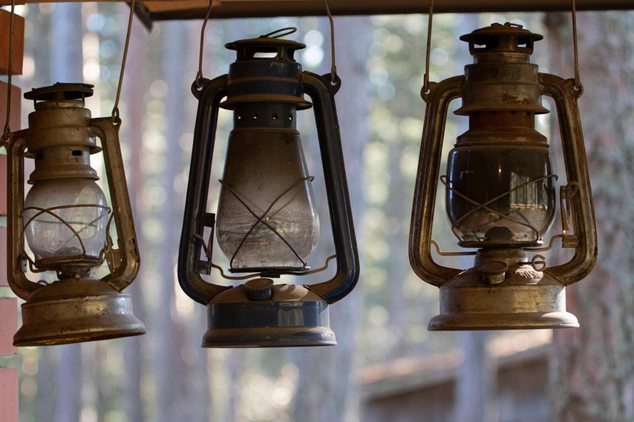 Rustic Home Tara بير المظهر الخارجي الصورة