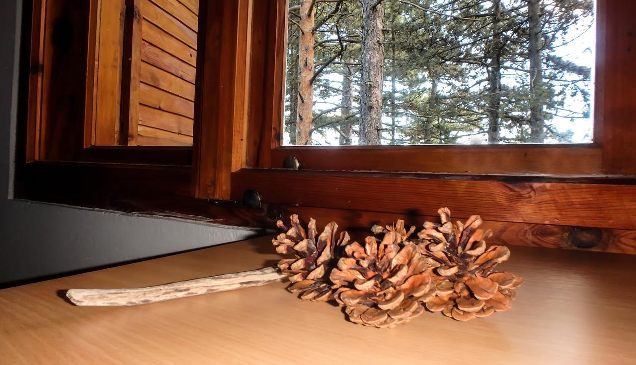 Rustic Home Tara بير المظهر الخارجي الصورة